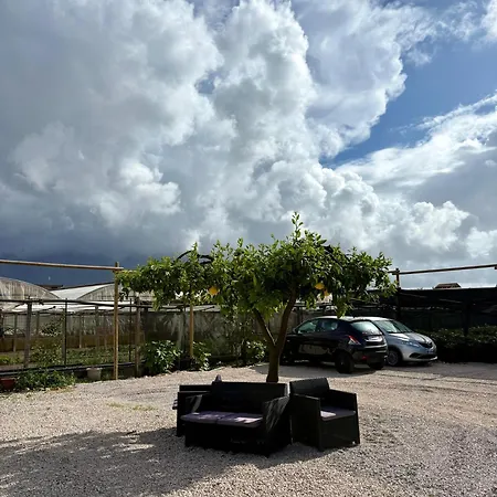 Donnarooms Bed & Breakfast 3*